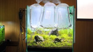 生体投入　水温合わせ